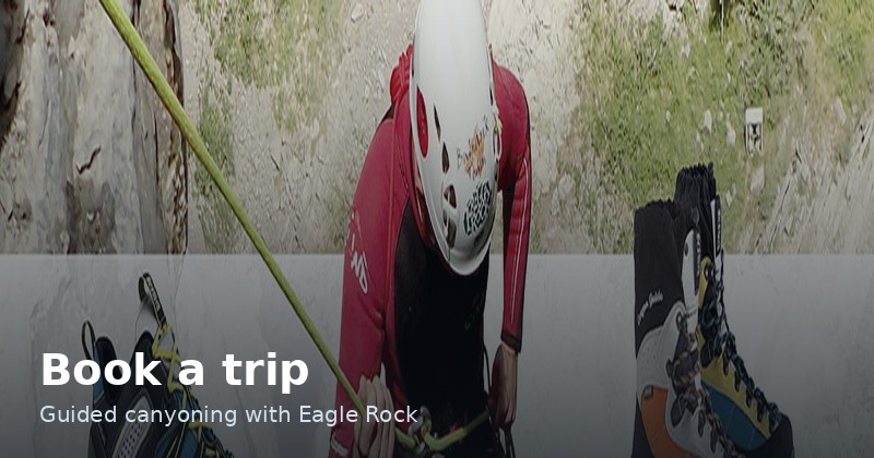 Book a trip