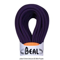 BEAL JOKER 9.1MM DRY ROPE