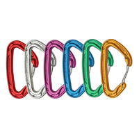 WILD COUNTRY HELIUM CARABINER