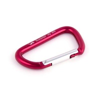 FIXE AUXILIARY CARABINER 12KN SCREW GATE